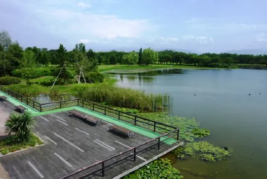 富山県中央植物園-4