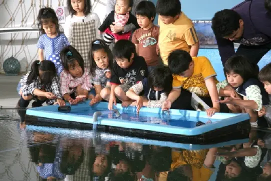 ほたるいかミュージアム-1