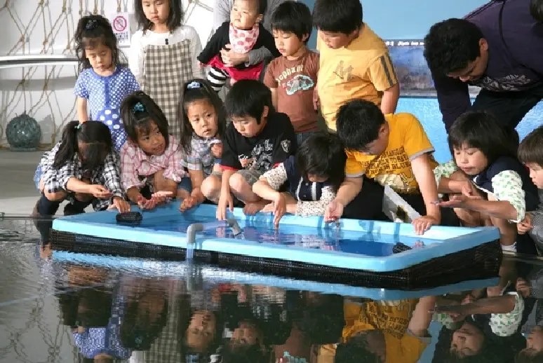 ほたるいかミュージアム-1