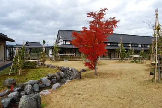 いのくち椿館-5