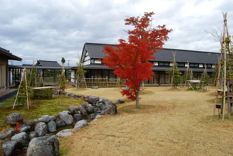 いのくち椿館-5