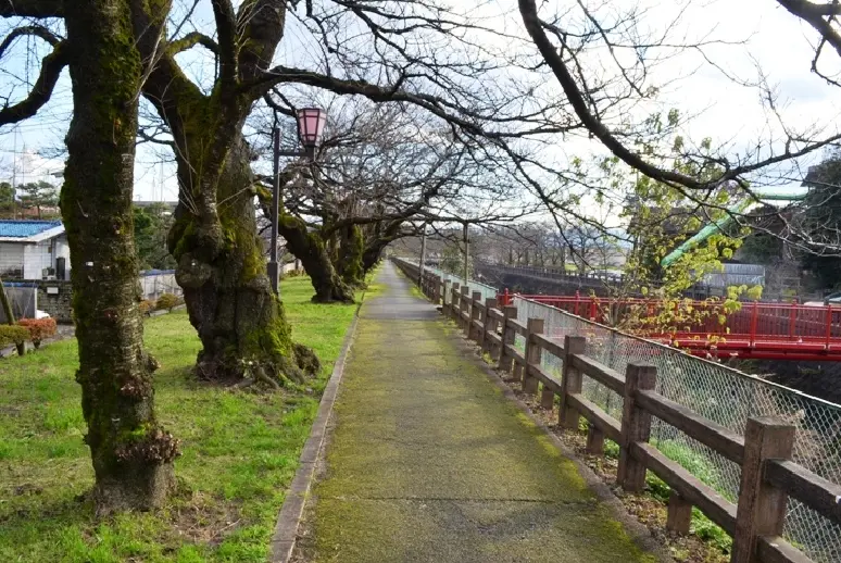 松川磯部堤【秋】-4