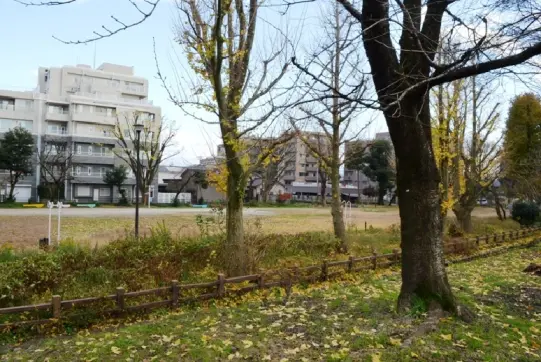 松川磯部堤【秋】-2