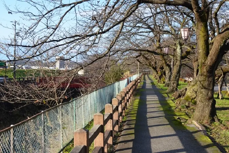松川磯部堤【秋】-6