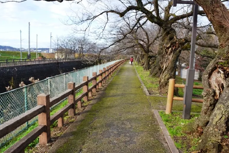 松川磯部堤【秋】-5