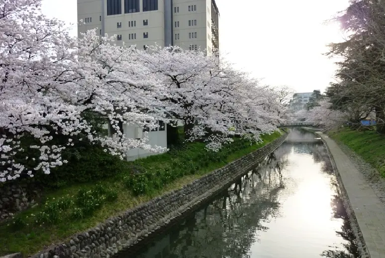 松川【春】-9