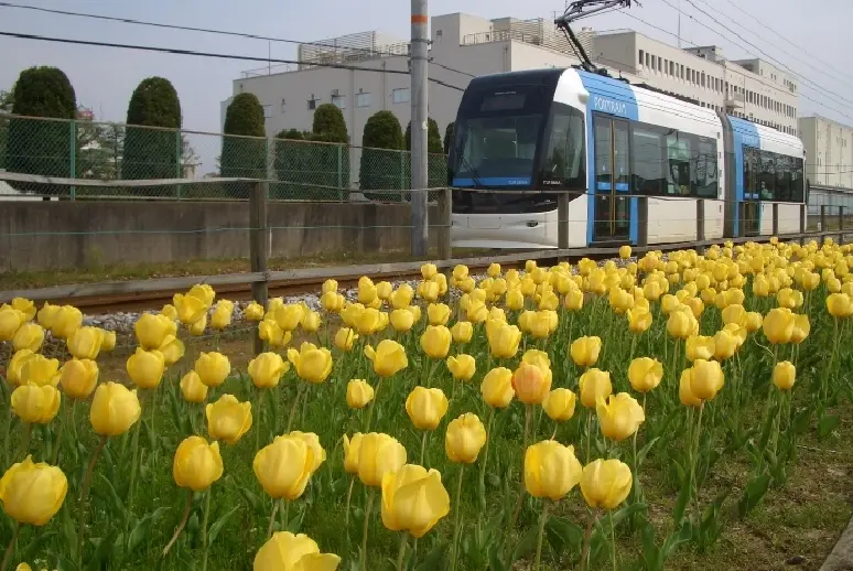 富山地方鉄道「ポートラム」-1