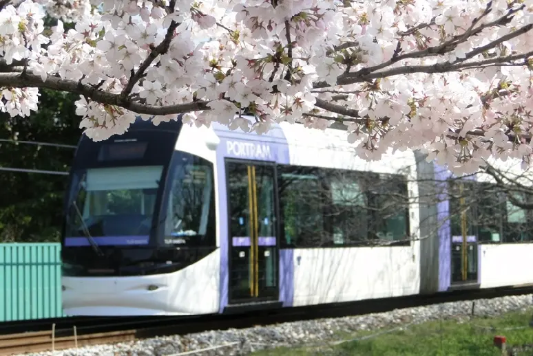 富山地方鉄道「ポートラム」-1