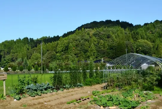 稲泉農園【農園】-8