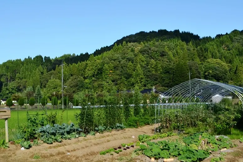 稲泉農園【農園】-8