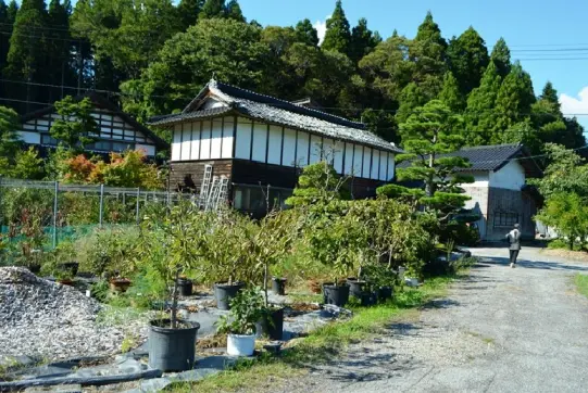稲泉農園【農園】-6