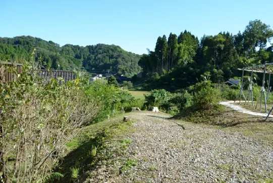 稲泉農園【農園】-3