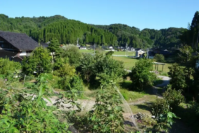 稲泉農園【農園】-5