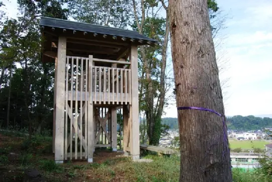 絆の森-0