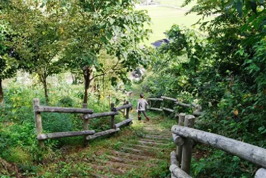 絆の森-8