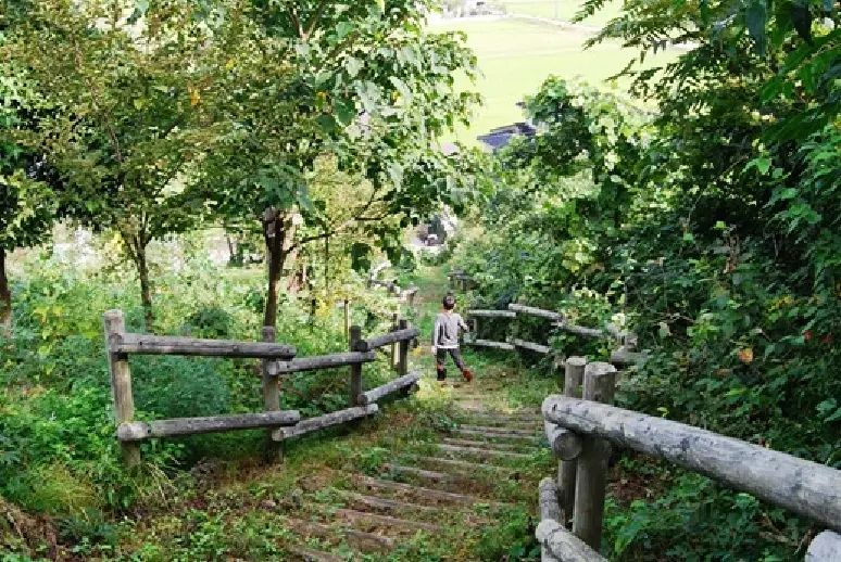 絆の森-8