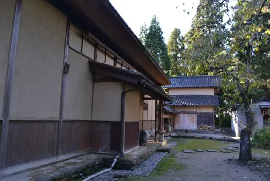 武田家-1