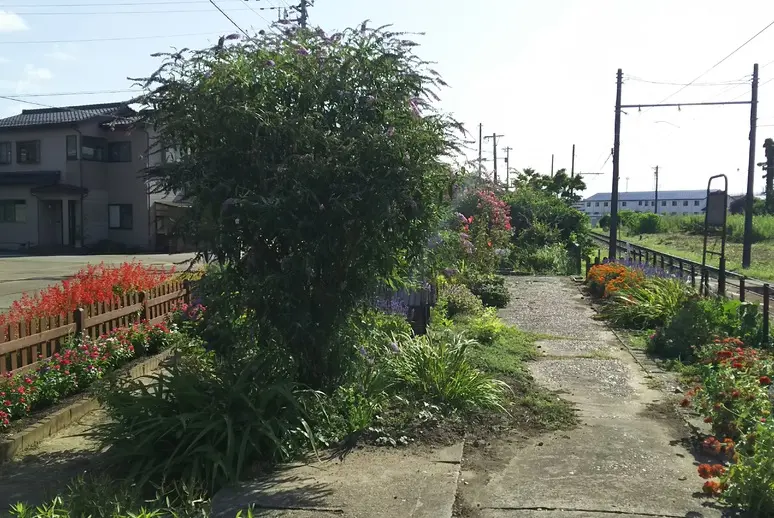 中伏木駅-2