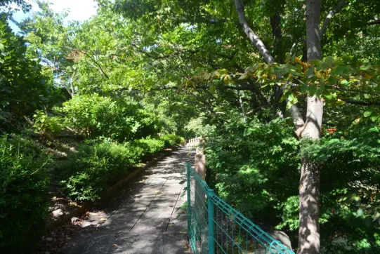 庄川水記念公園-1