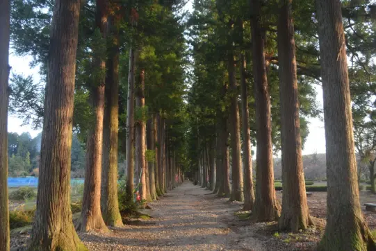 眼目山立山寺-0
