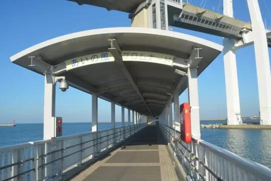 新湊大橋-4