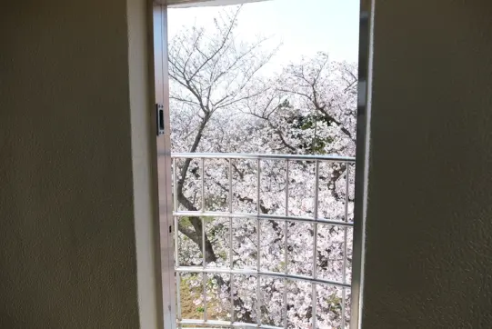 岩崎ノ鼻灯台-8