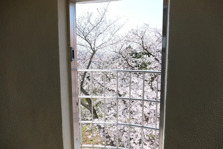 岩崎ノ鼻灯台-8