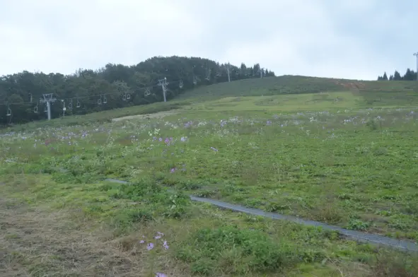 夢の平スキー場 -4