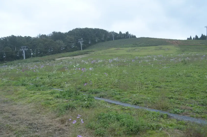 夢の平スキー場 -4