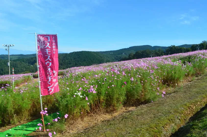 夢の平スキー場 -2