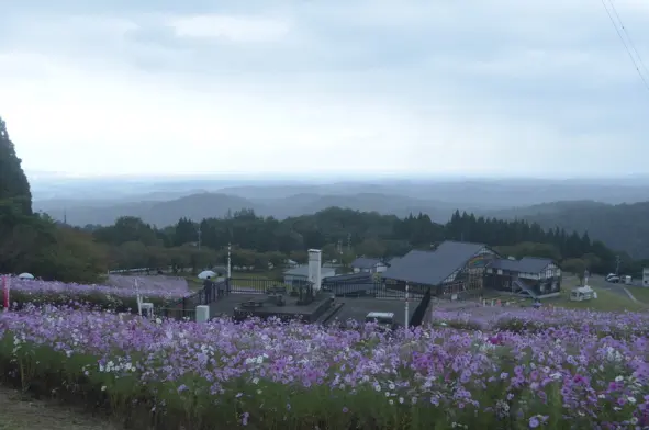 夢の平スキー場 -5