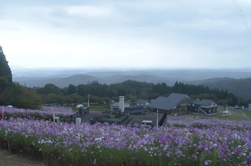 夢の平スキー場 -5