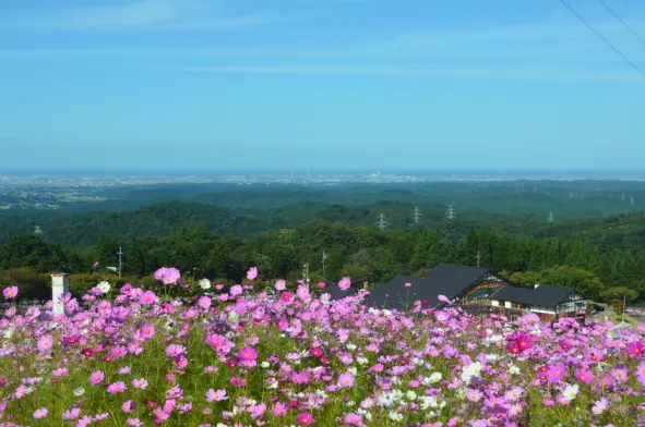 夢の平スキー場 -1