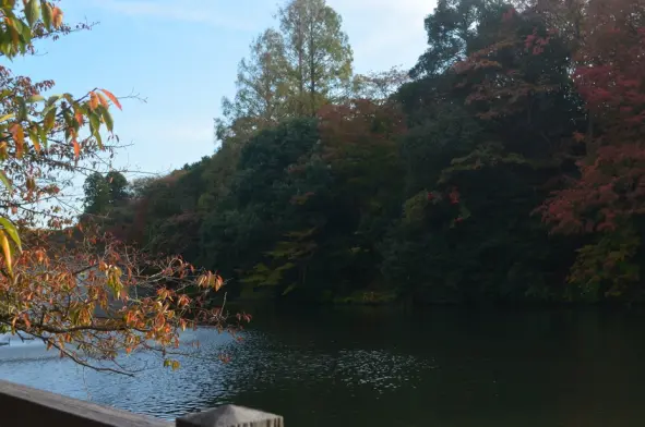 高岡古城公園-7