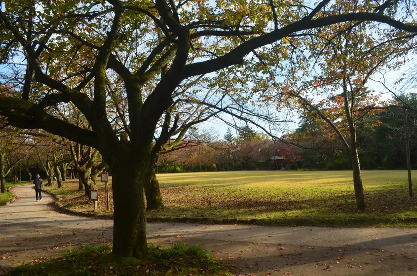 高岡古城公園-0