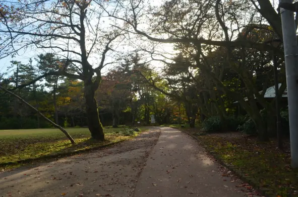 高岡古城公園-1