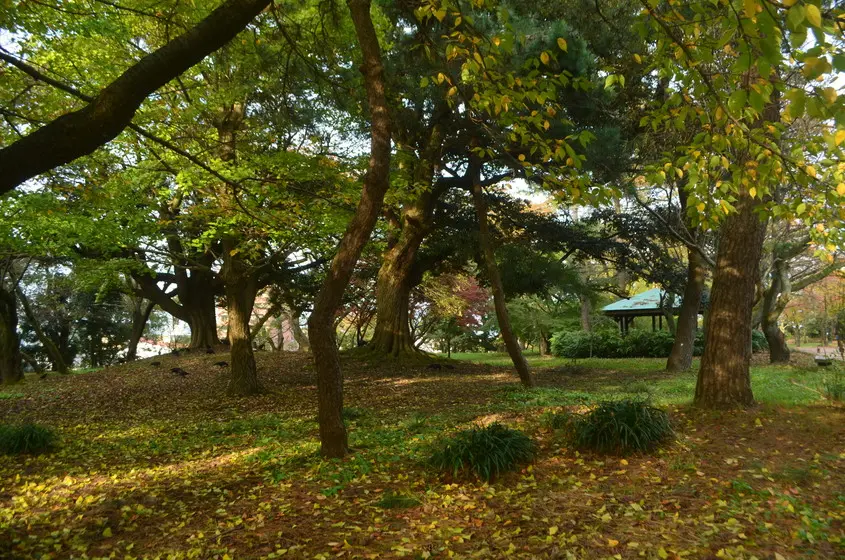 高岡古城公園-3