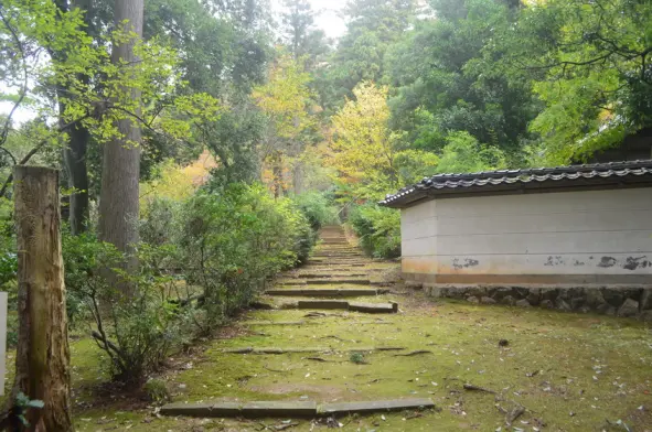 国泰寺-5