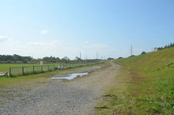 庄川緑地-3