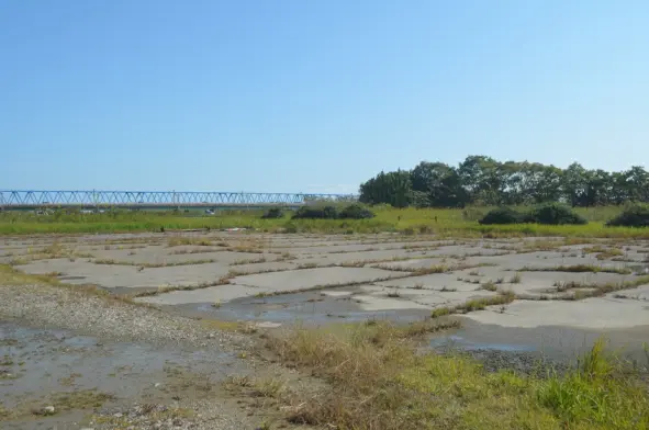 庄川緑地-5