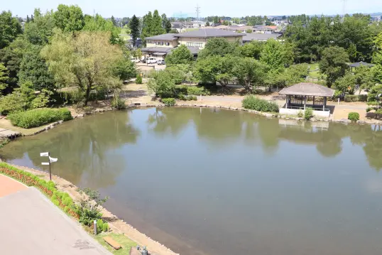 砺波チューリップ公園 コキアの大花壇-5