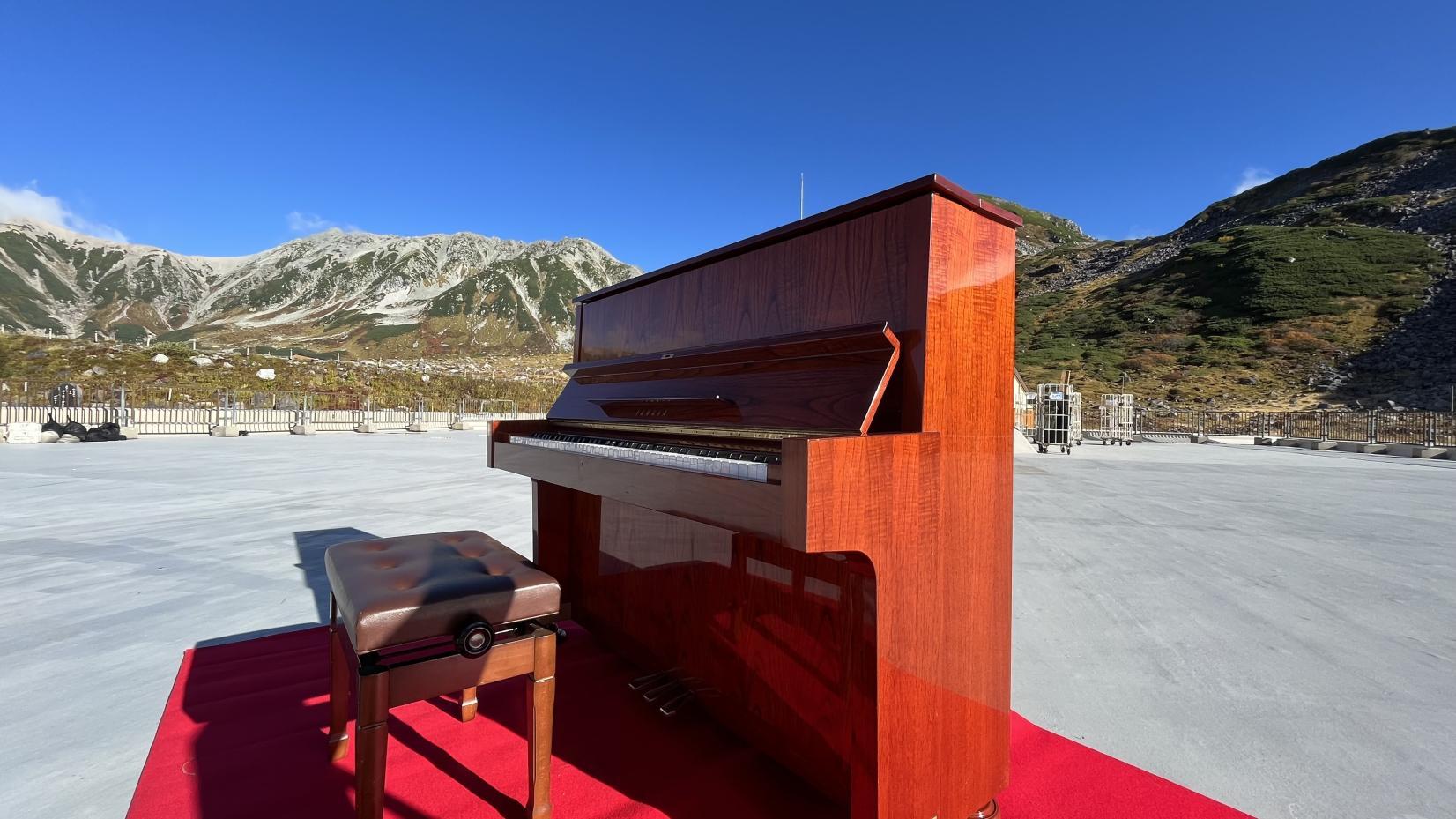 2025 立山黒部・秋旅-2