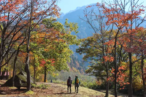 紅葉の馬場島森林セラピーロード、中山散策-0