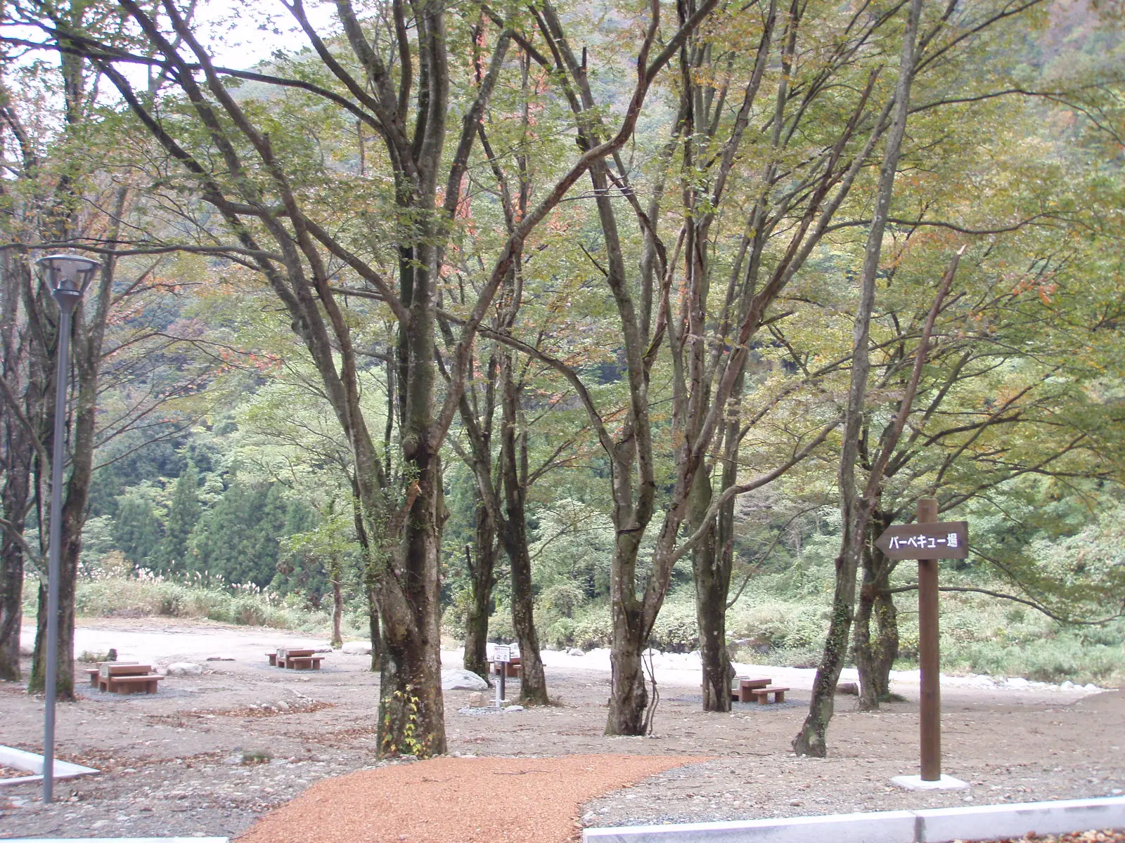 片貝 山ノ守キャンプ場-5