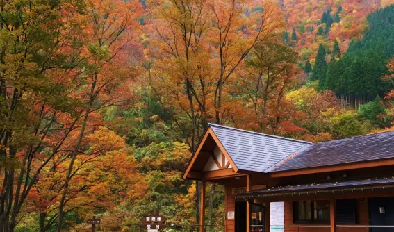 片貝 山ノ守キャンプ場-3