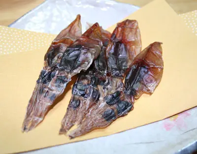 ホタルイカ-3