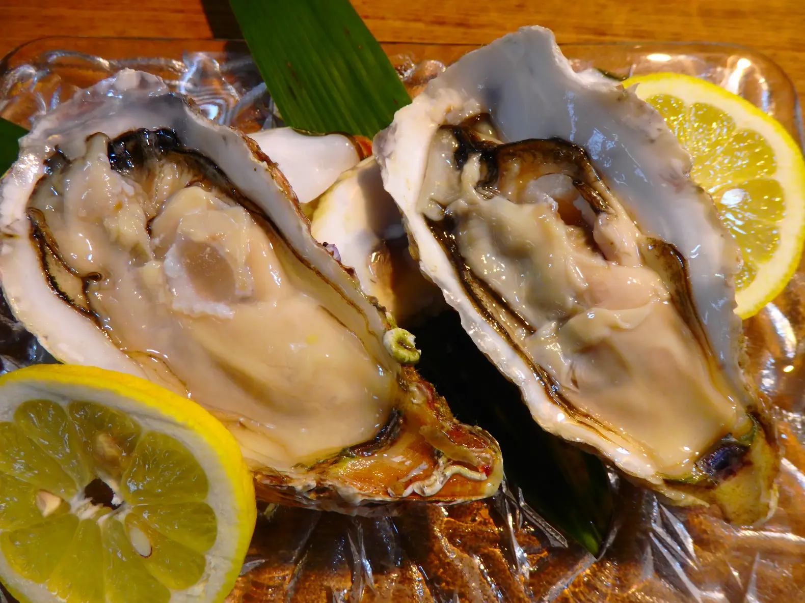 和食処　築前-1