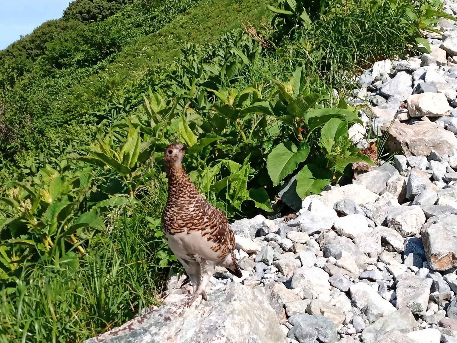 立山町観光協会-3