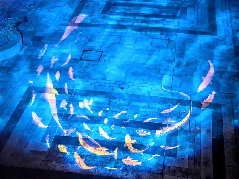 環水公園スイートイルミネーション-4