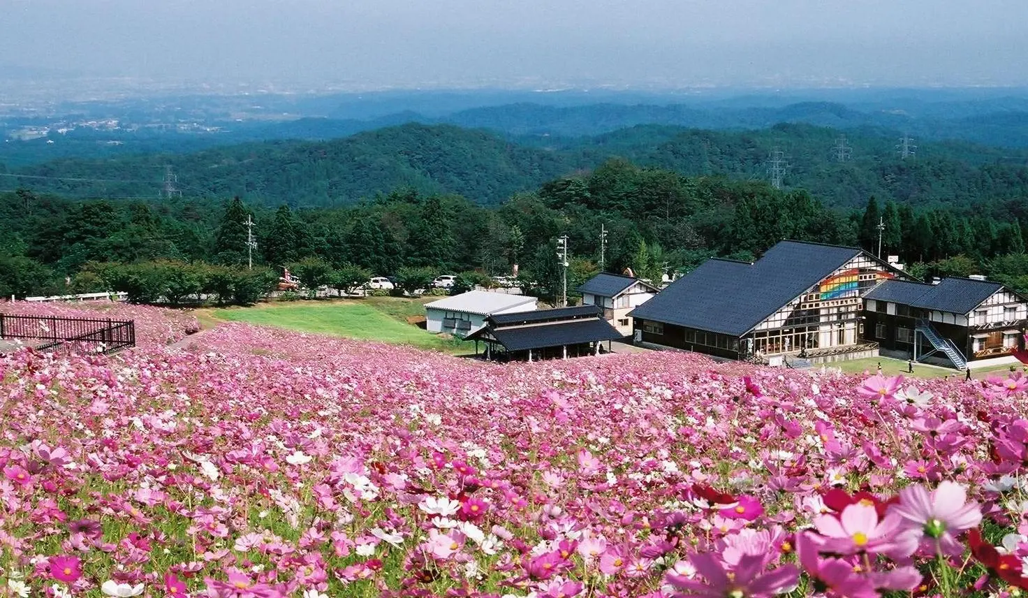 夢の平コスモス荘-2